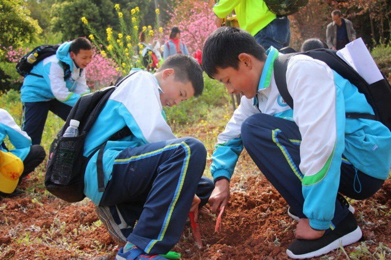 種下心愿樹1.jpg